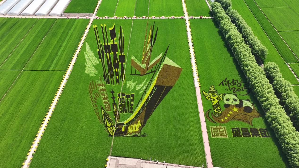 8月19日(26) 8月19日(26)