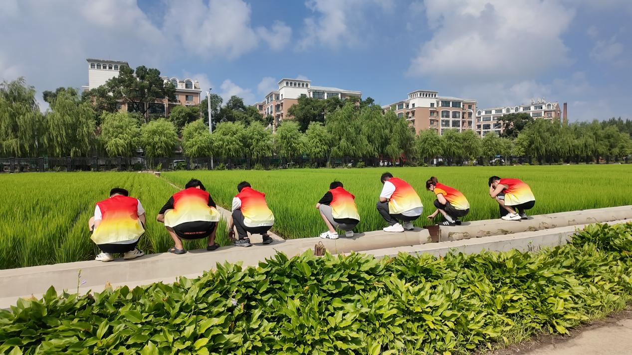 8月19日(16) 8月19日(16)