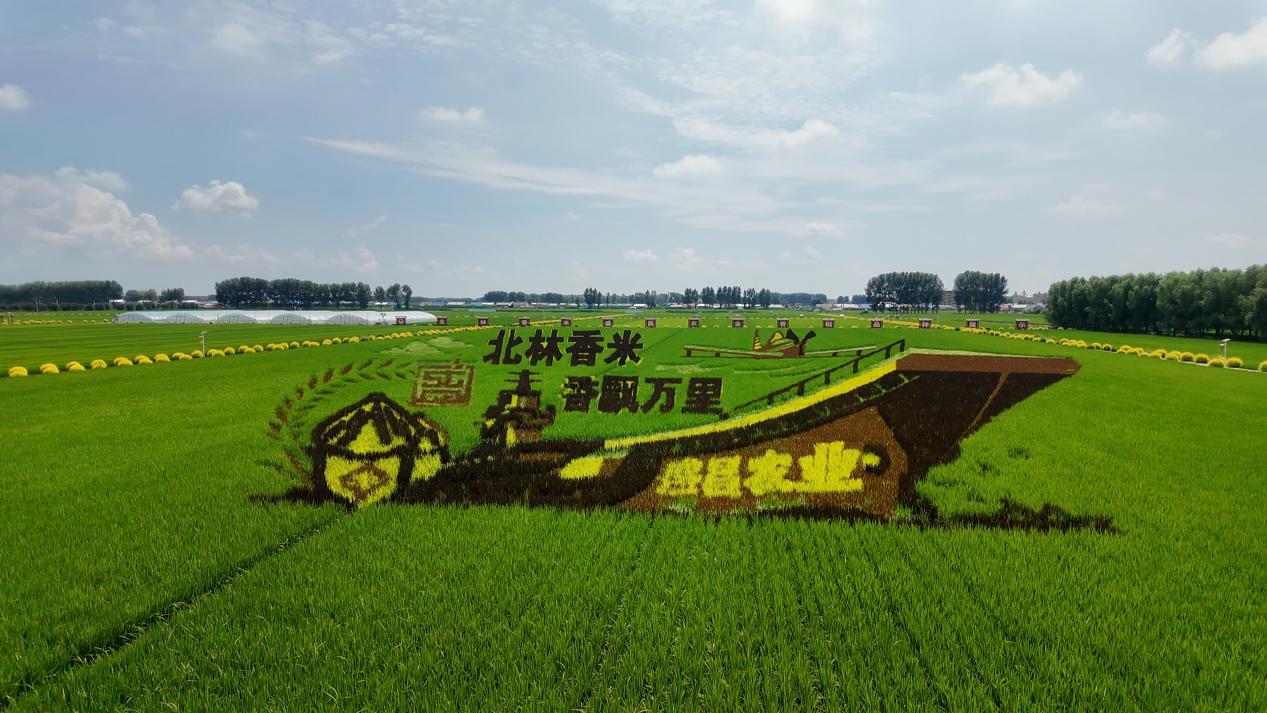 8月19日(3) 8月19日(3)