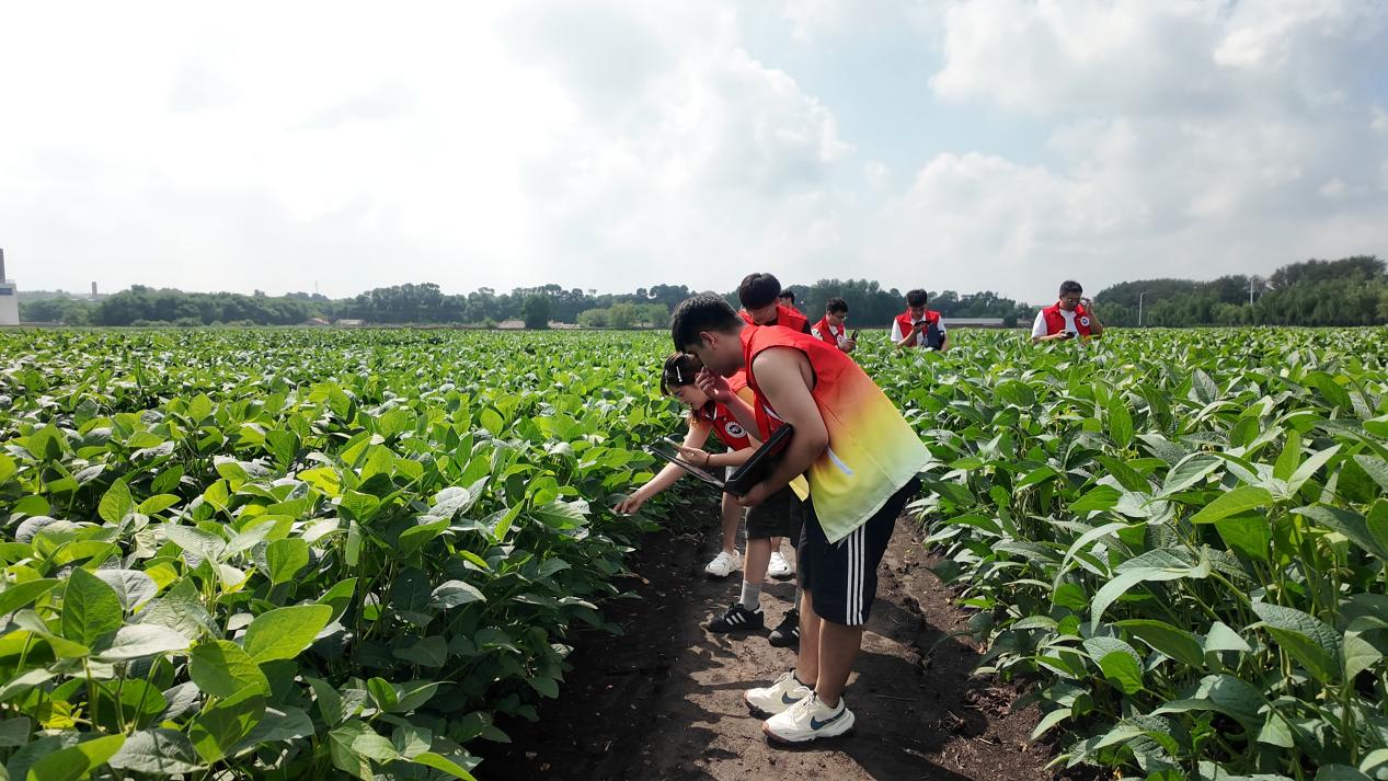 8月19日(13) 8月19日(13)