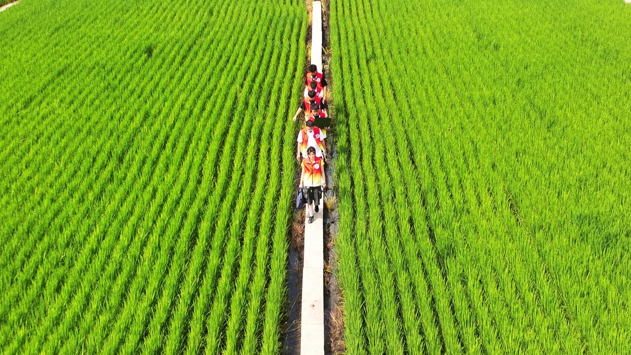 8月19日(33) 8月19日(33)