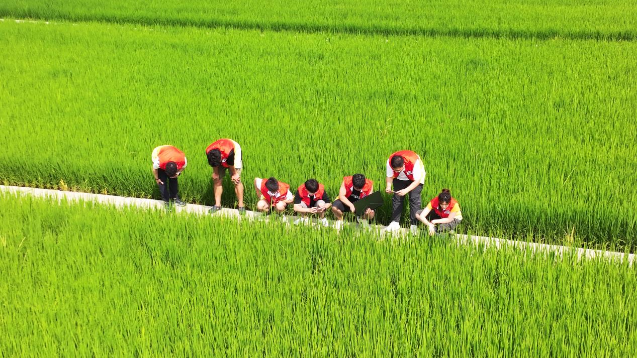 8月19日(25) 8月19日(25)