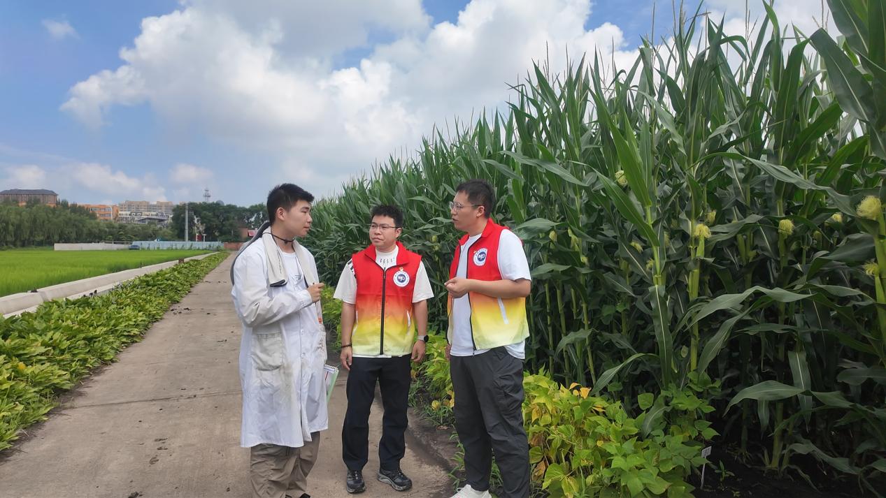 8月19日(8) 8月19日(8)